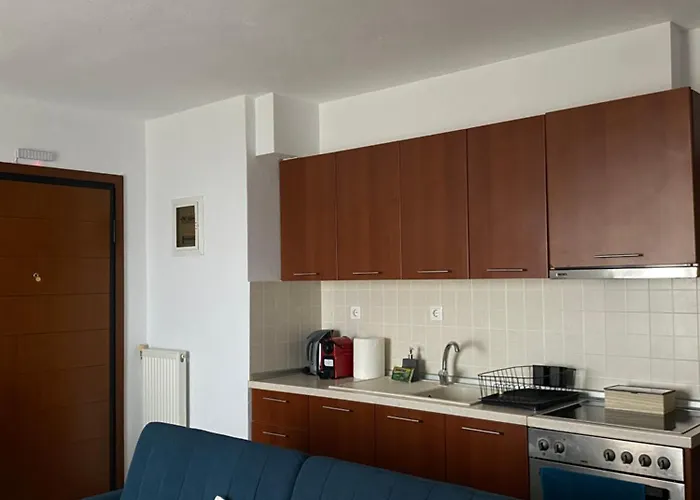 公寓 Stefanos Blue Horizon 阿菲托斯